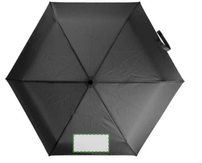 Pannello 1