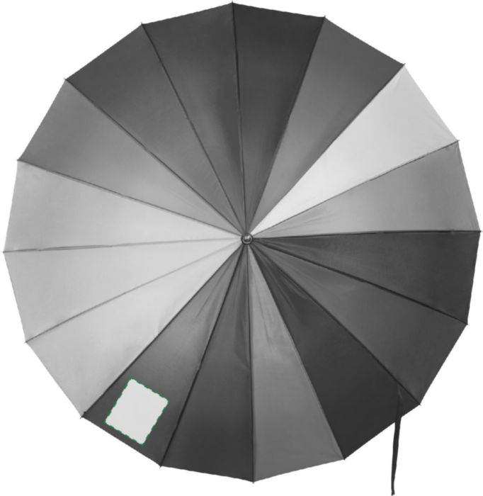 Pannello 1