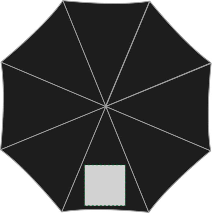 Pannello 1
