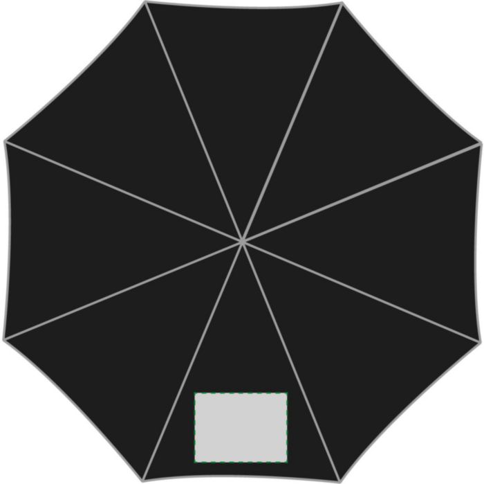 Pannello 1