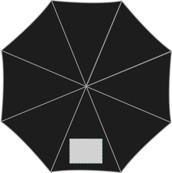 Pannello 1