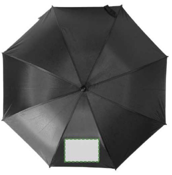 Pannello 1