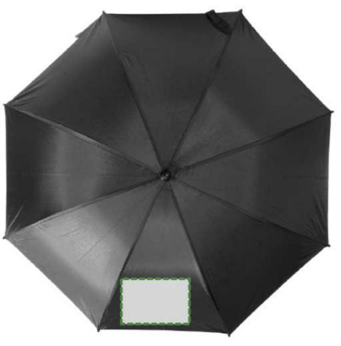 Pannello 1