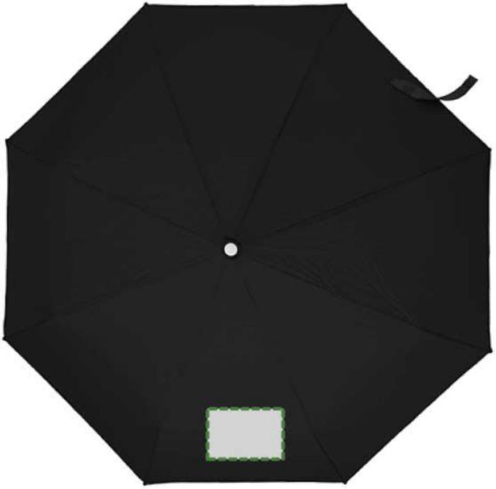 Pannello 1