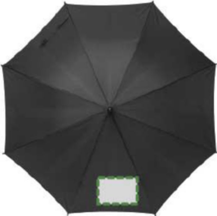 Pannello 1