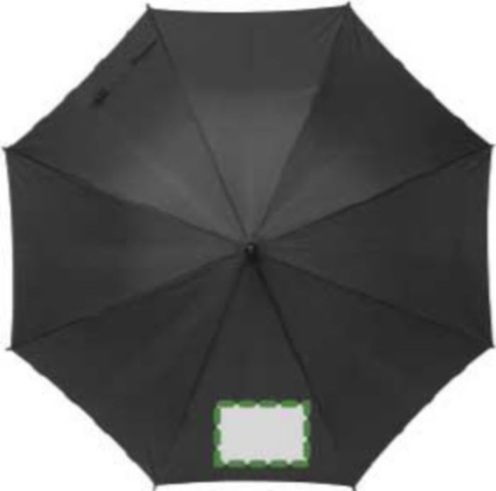 Pannello 1