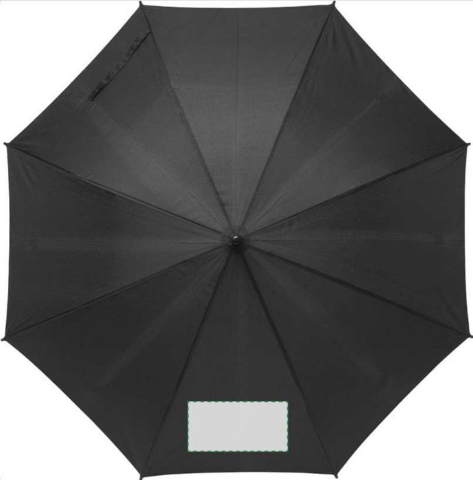 Pannello 1